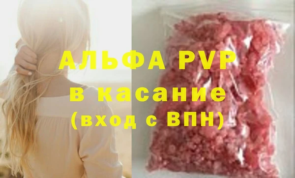 крисы Горняк