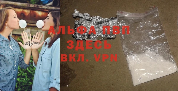 крисы Горняк
