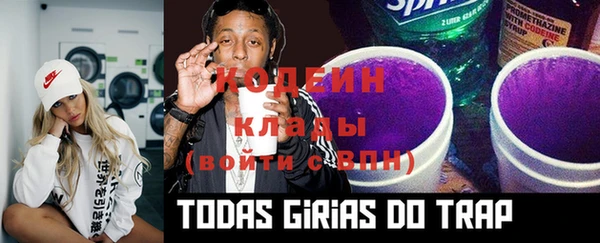 крисы Горняк