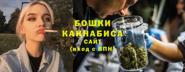 крисы Горняк