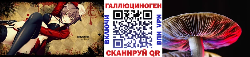 Галлюциногенные грибы Psilocybe Магас