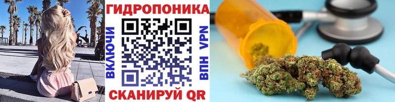 KRAKEN ссылки  Магас  Шишки марихуана MAZAR 